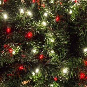 where did the tradition of putting lights on christmas trees come from and who started the custom