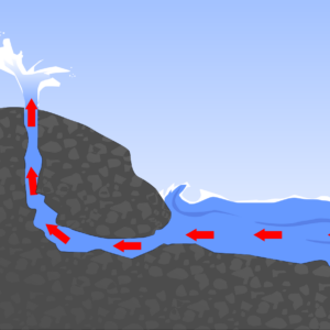 where do blowholes come from and how are blowholes formed