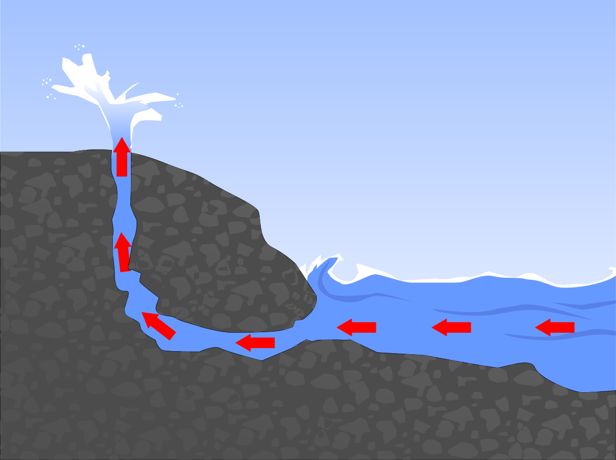 where do blowholes come from and how are blowholes formed
