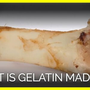 where does gelatin come from and how is gelatin made