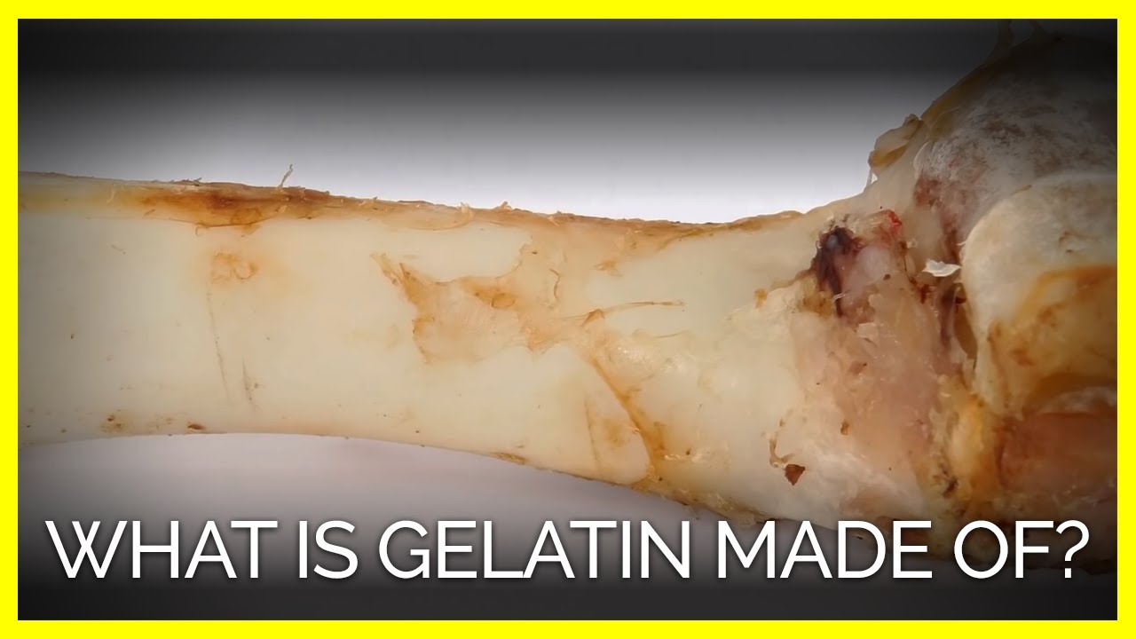 where does gelatin come from and how is gelatin made