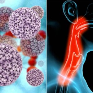 where does human papillomavirus come from and how are hpv infections prevented