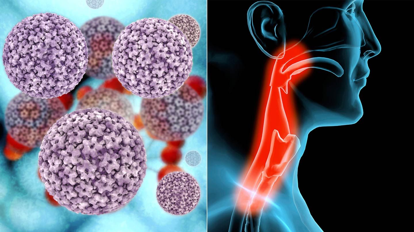 where does human papillomavirus come from and how are hpv infections prevented