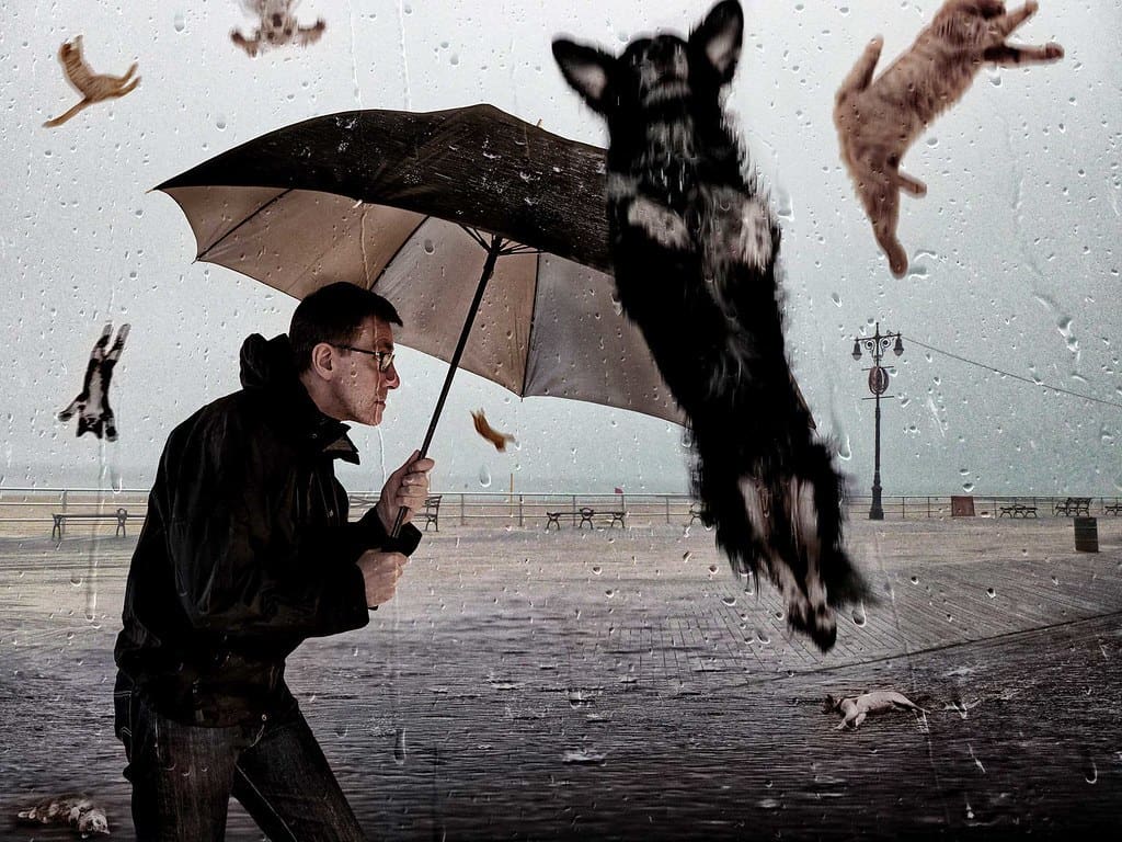 where does the expression raining cats and dogs come from and what does it mean