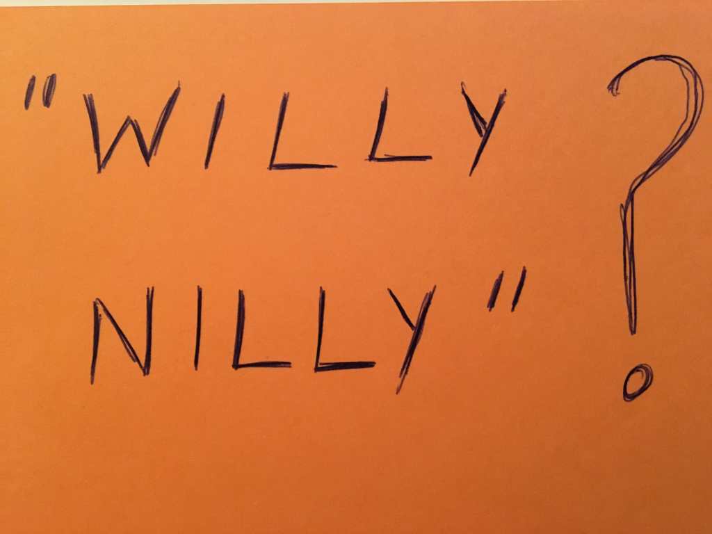where does the expression willy nilly come from and what does willy nilly mean