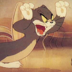 where does the name tom and jerry come from and what does tom and jerry mean