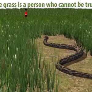 where does the phrase snake in the grass originate and what does snake in the grass mean