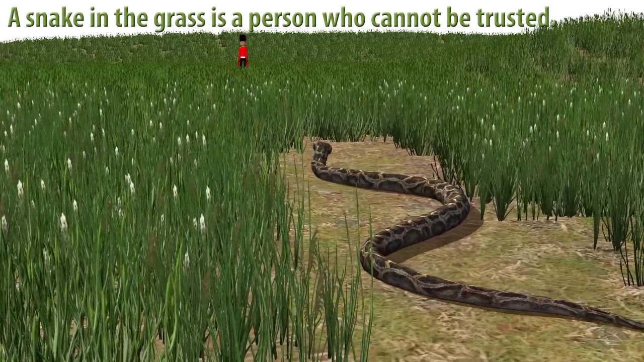 where does the phrase snake in the grass originate and what does snake in the grass mean