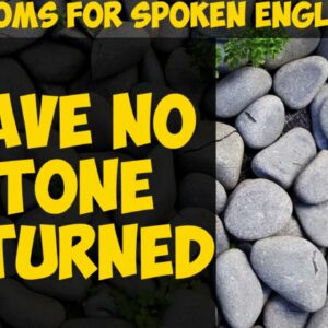 where does the saying to leave no stone unturned come from and what does it mean