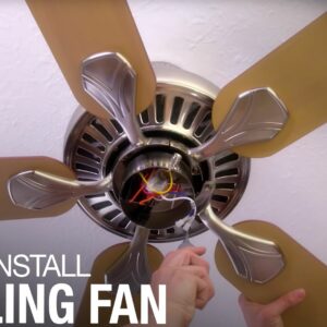 where does the term fan come from and what does fan mean