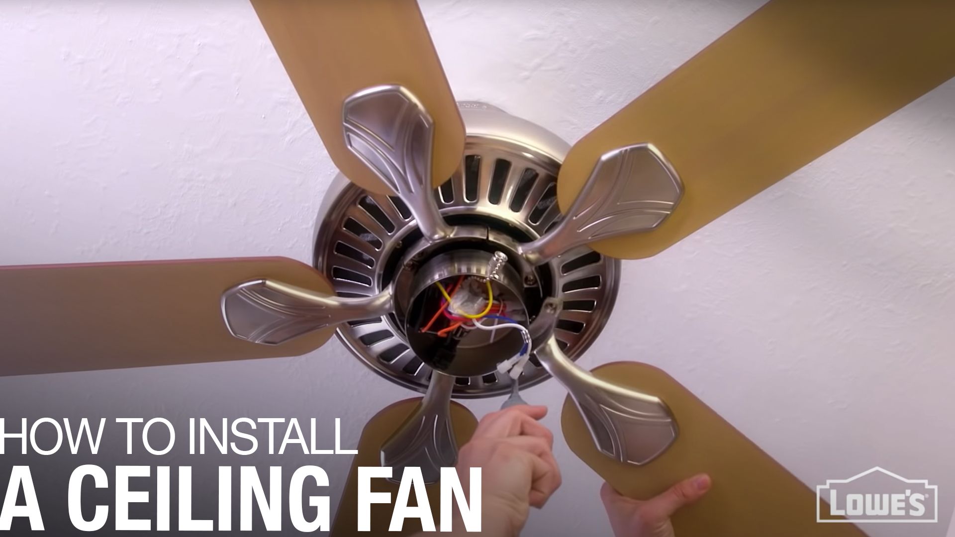 where does the term fan come from and what does fan mean