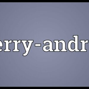 where does the term merry andrew come from and what does merry andrew mean