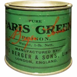 where does the term paris green come from and what does paris green mean