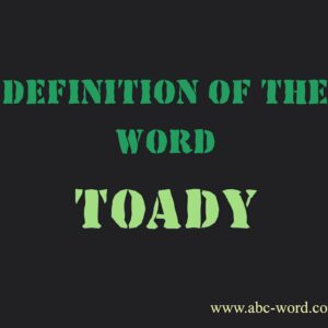 where does the term toady originate and what does toady mean