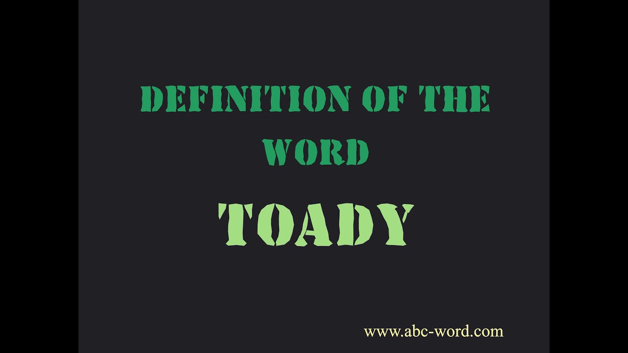 where does the term toady originate and what does toady mean