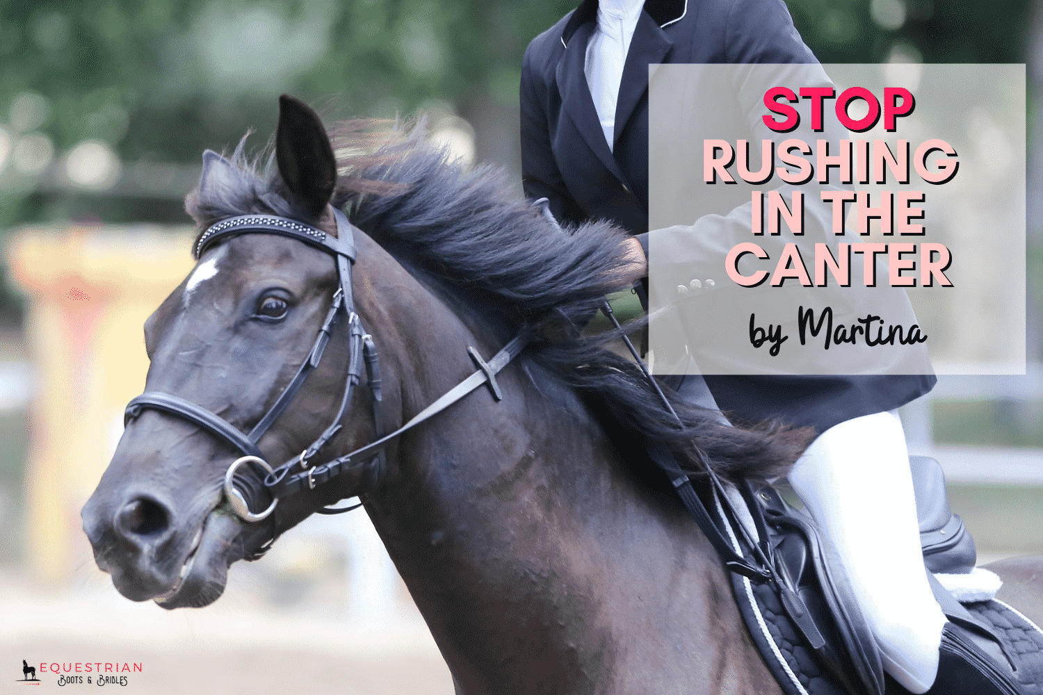 where does the word canter originate and what does canter mean