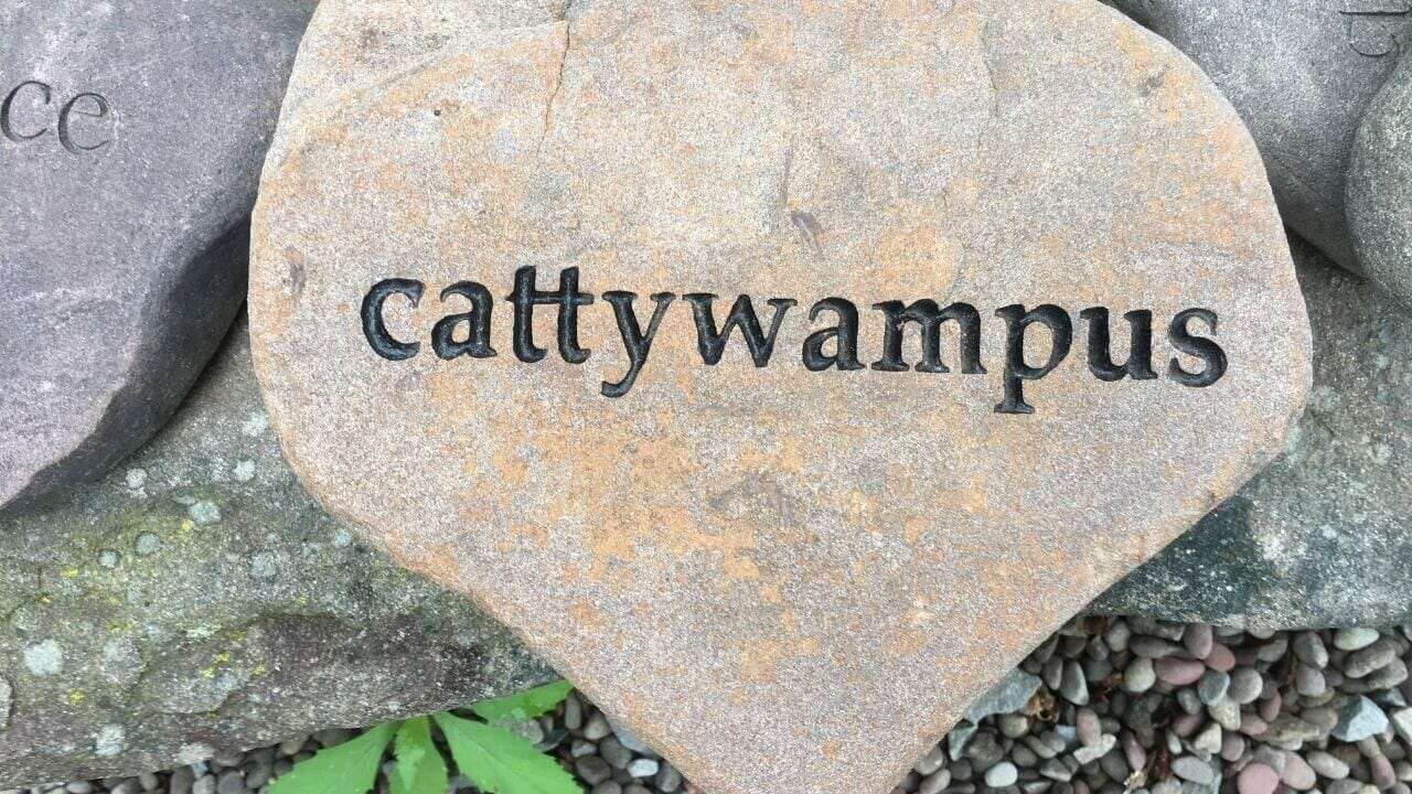 where does the word catawampus come from and what does catawampus mean