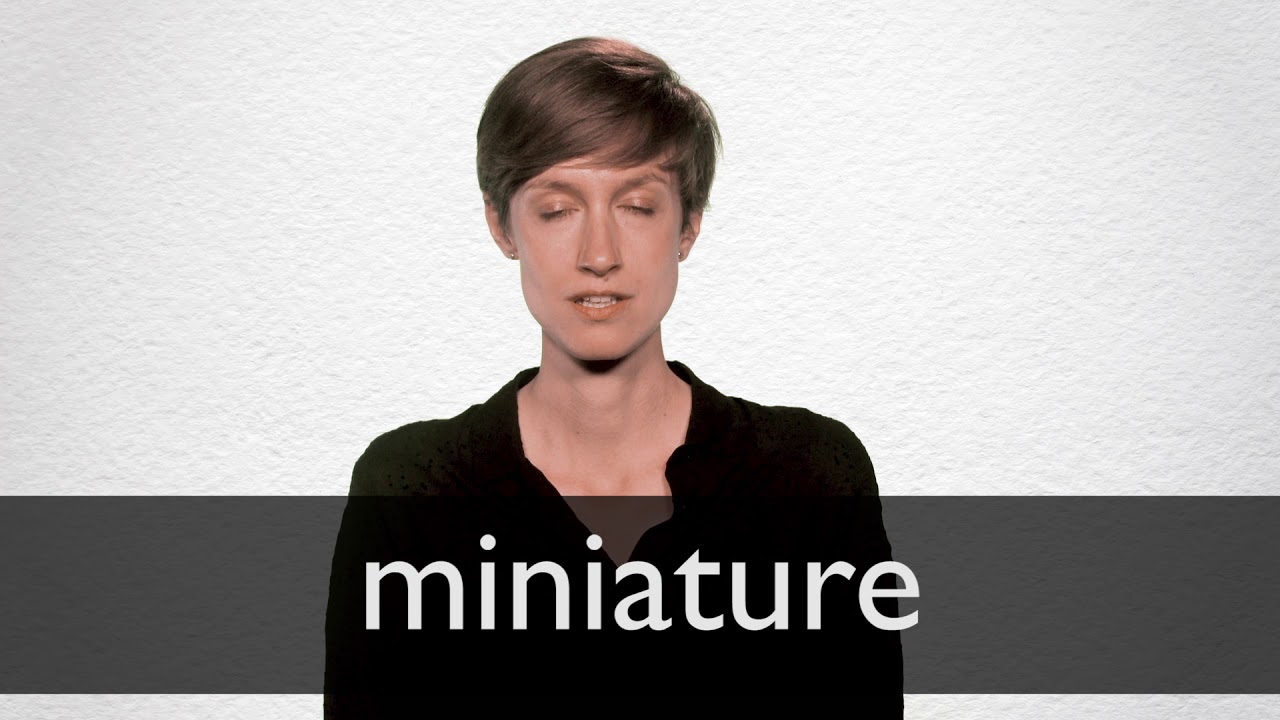 where does the word miniature come from and what does miniature mean