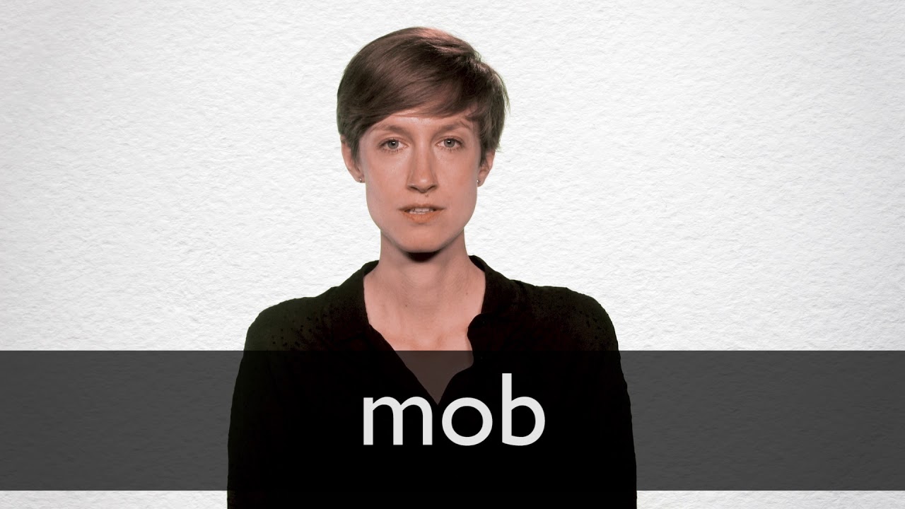 where does the word mob come from and what does mob mean