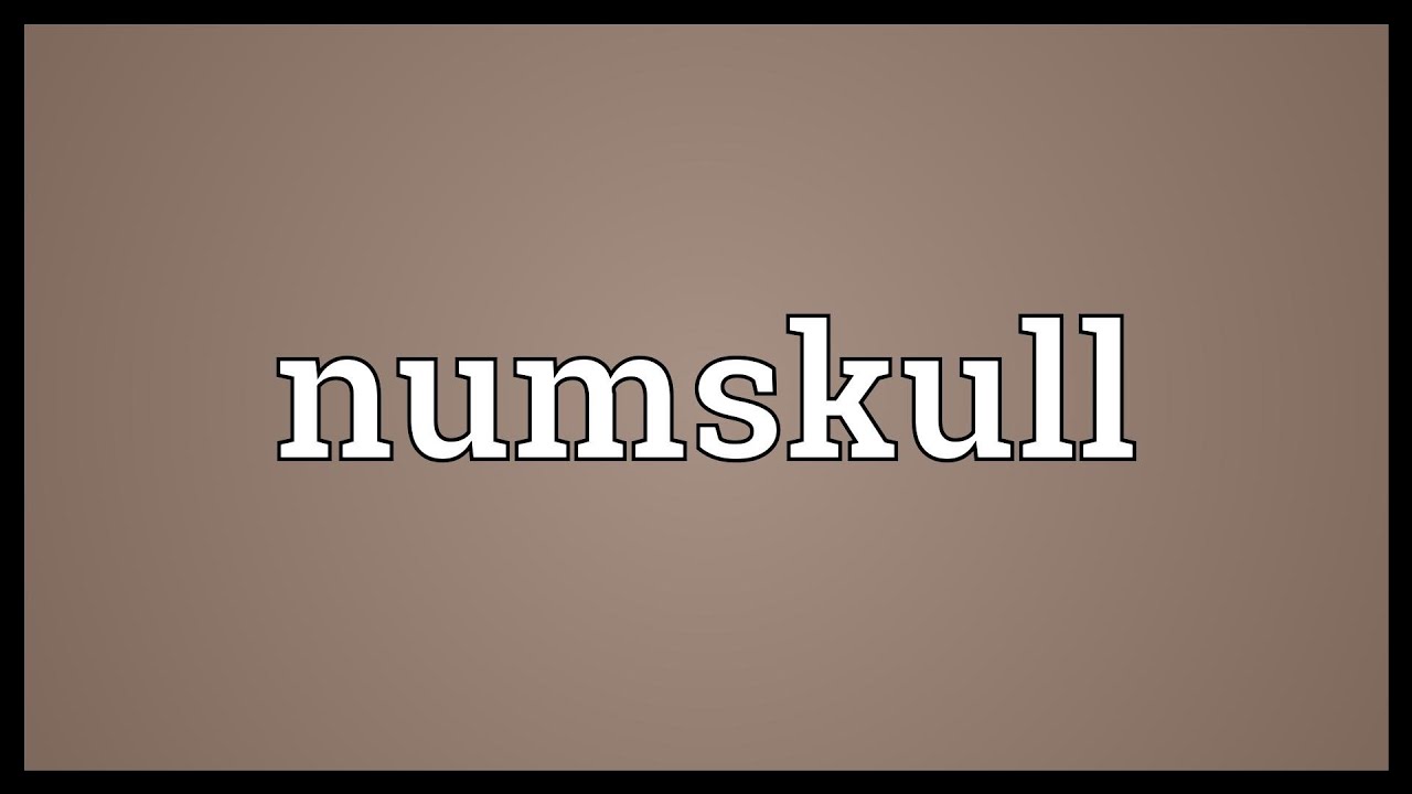 where does the word numskull come from and what does numskull mean
