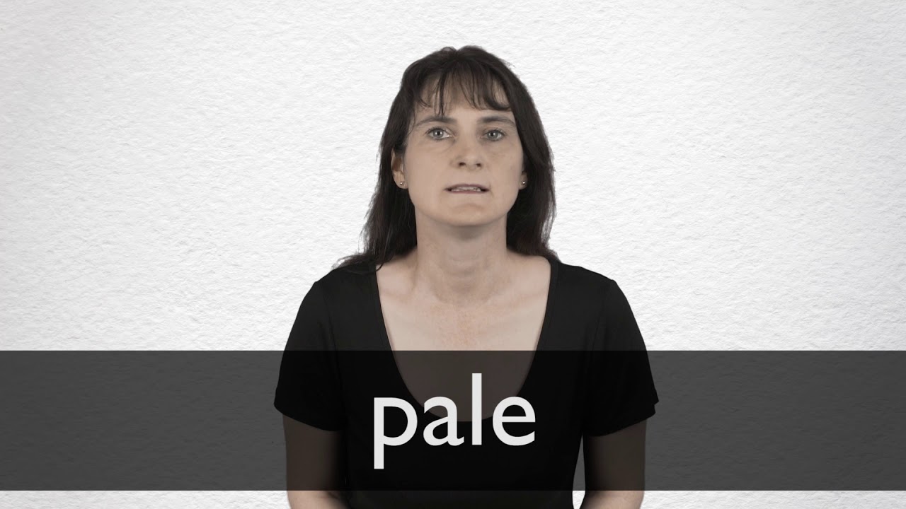 where does the word pale come from and what does pale mean in latin