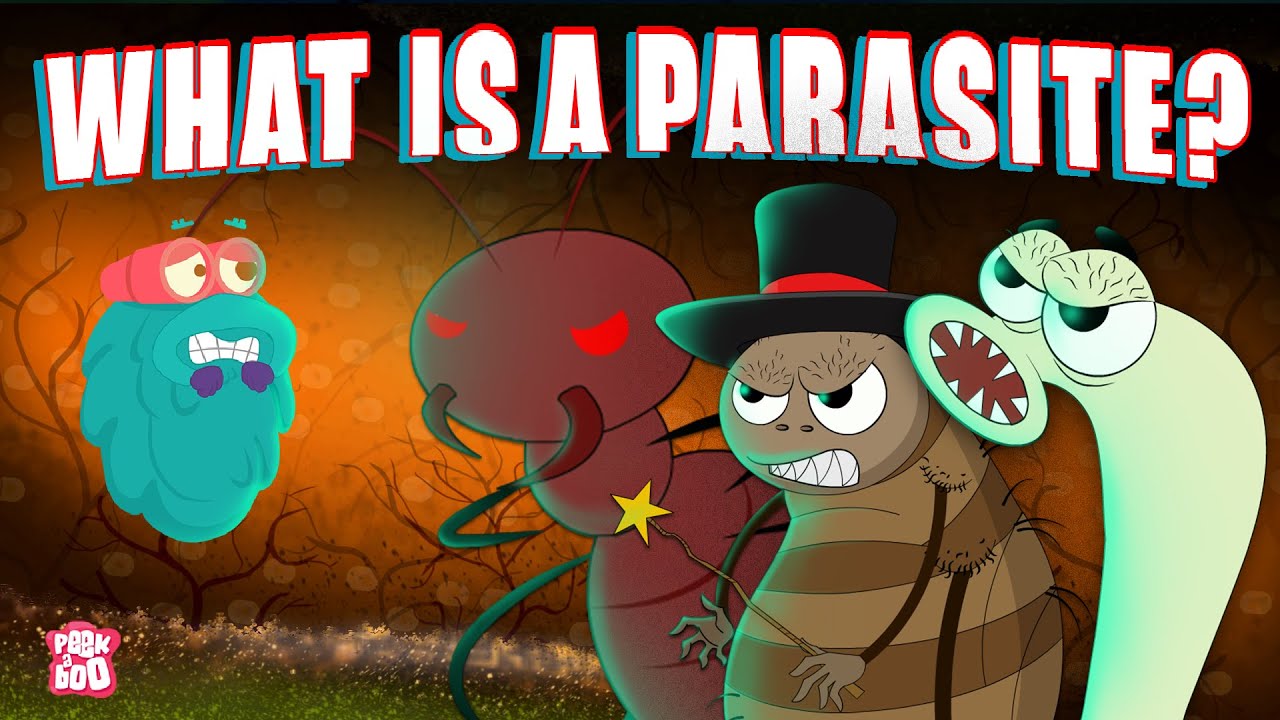 where does the word parasite come from and what does parasite mean in greek