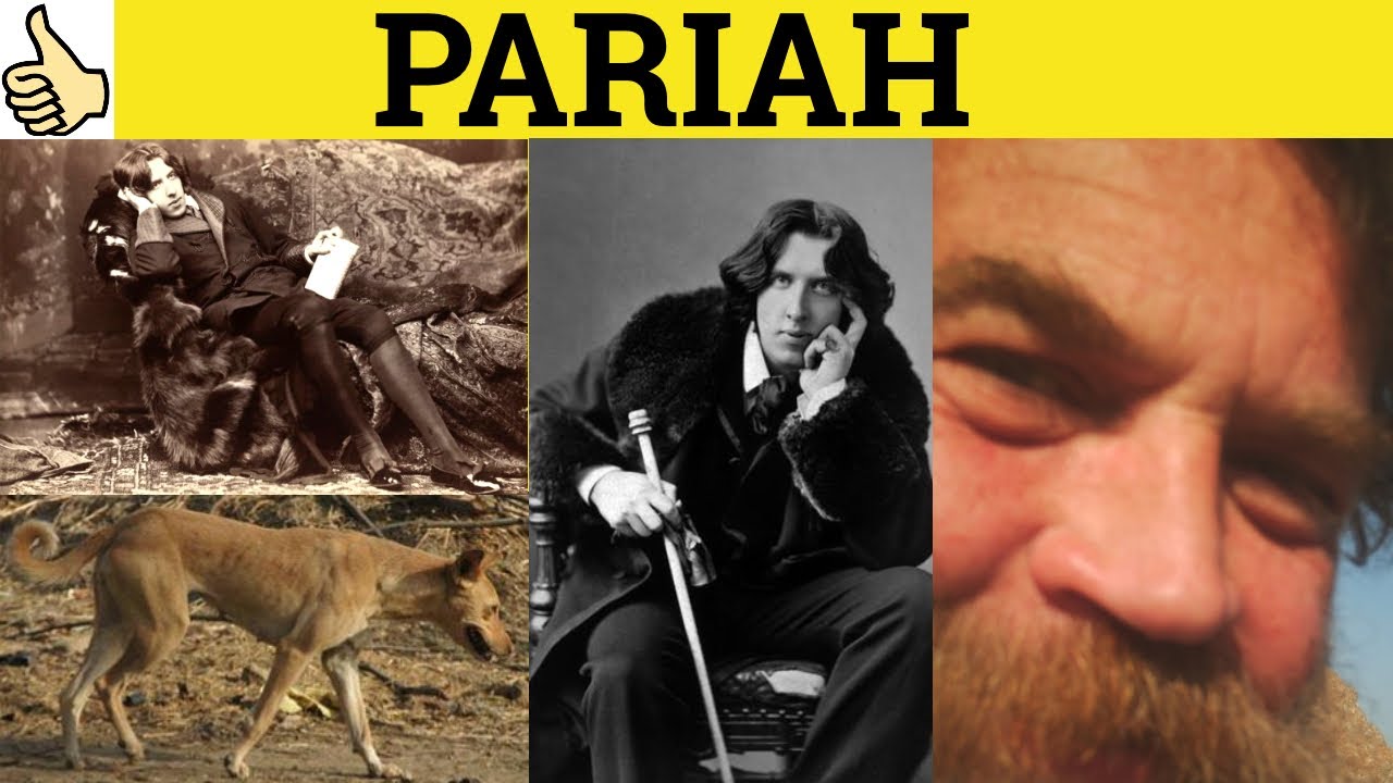 where does the word pariah come from and what does pariah mean