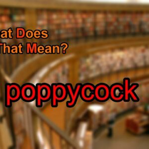 where does the word poppycock come from and what does poppycock mean in dutch