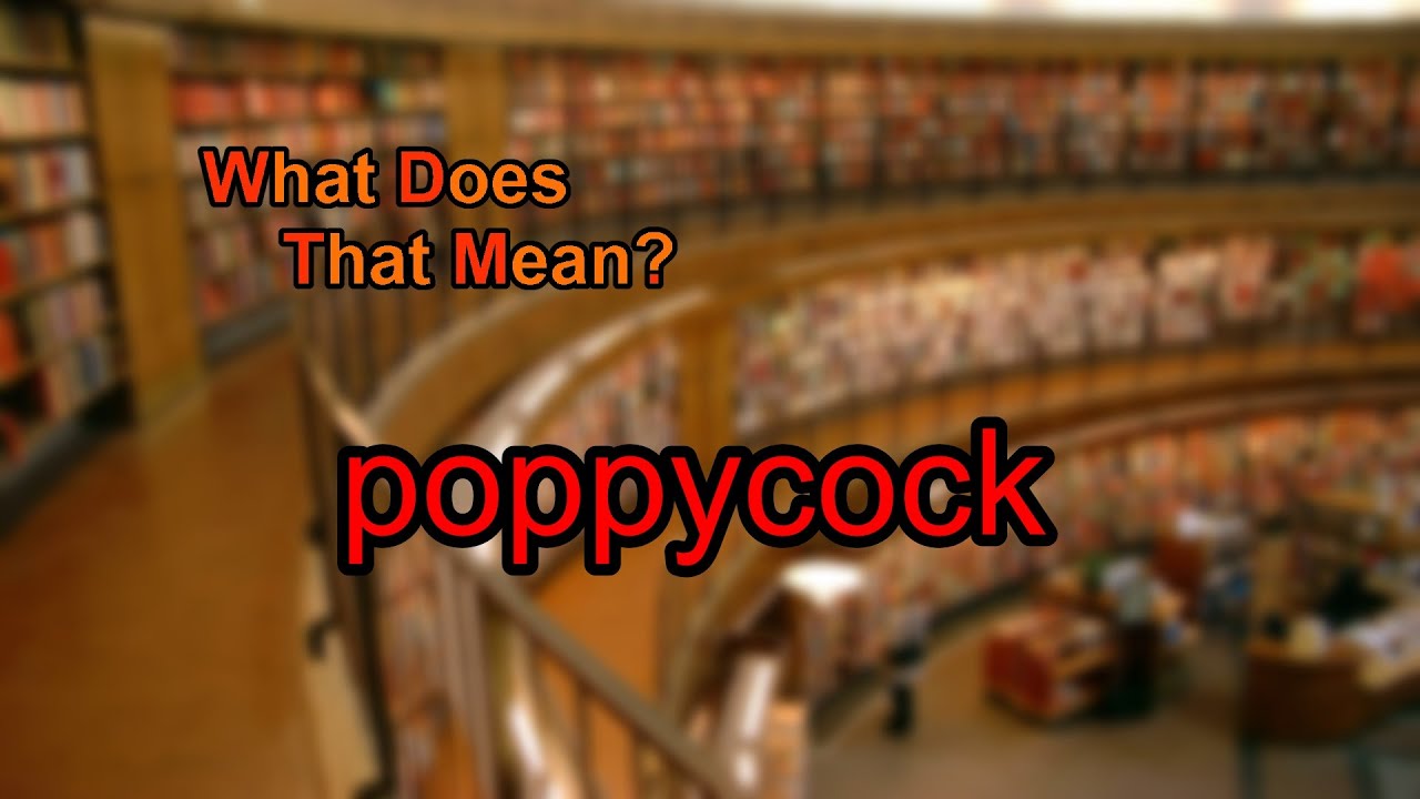 where does the word poppycock come from and what does poppycock mean in dutch