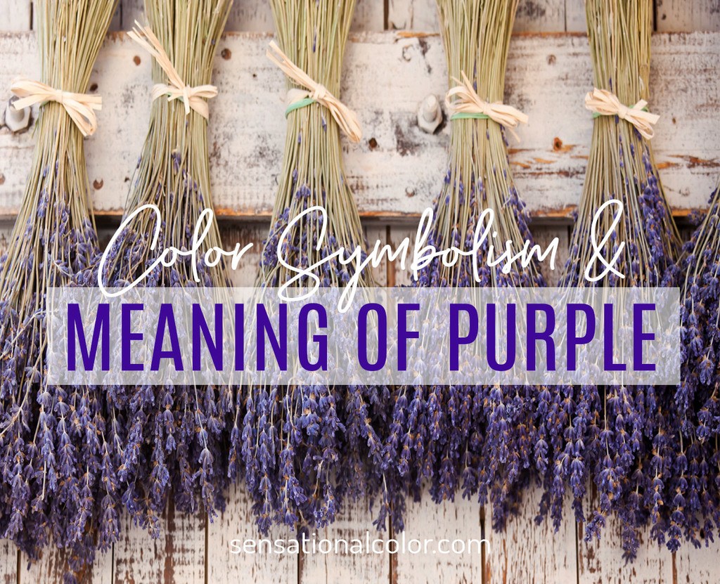 where does the word purple come from and what does purple mean