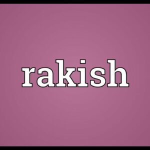 where does the word rakish come from and what does rakish mean in german