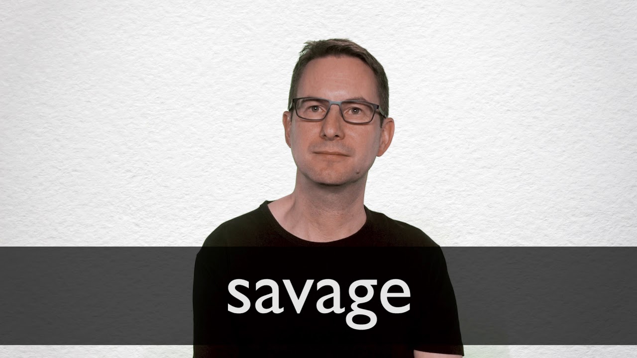 where does the word savage come from and what does savage mean