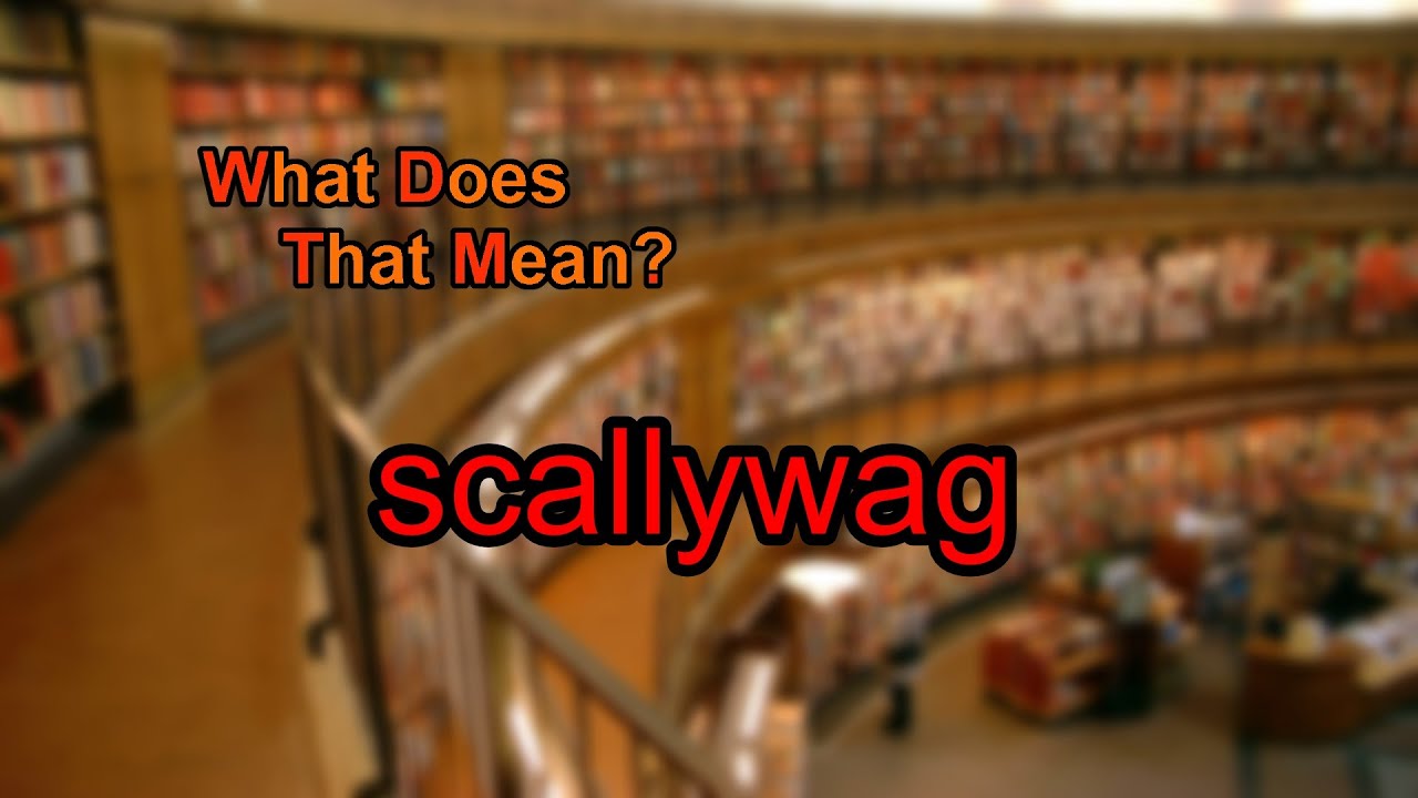 where does the word scalawag come from and what does scallywag mean