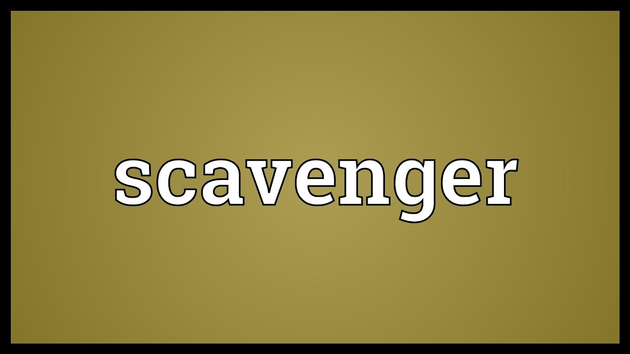 where does the word scavenger originate and what does scavenger mean