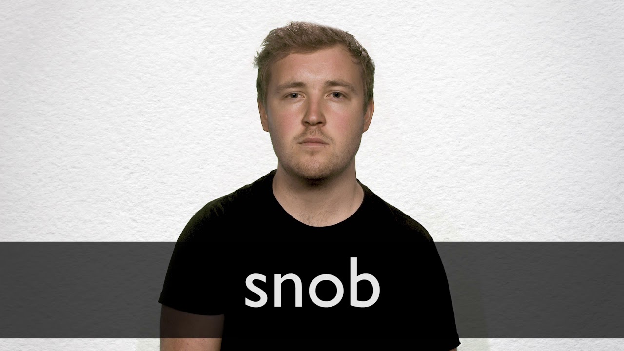 where does the word snob come from and what does snob mean in old norse