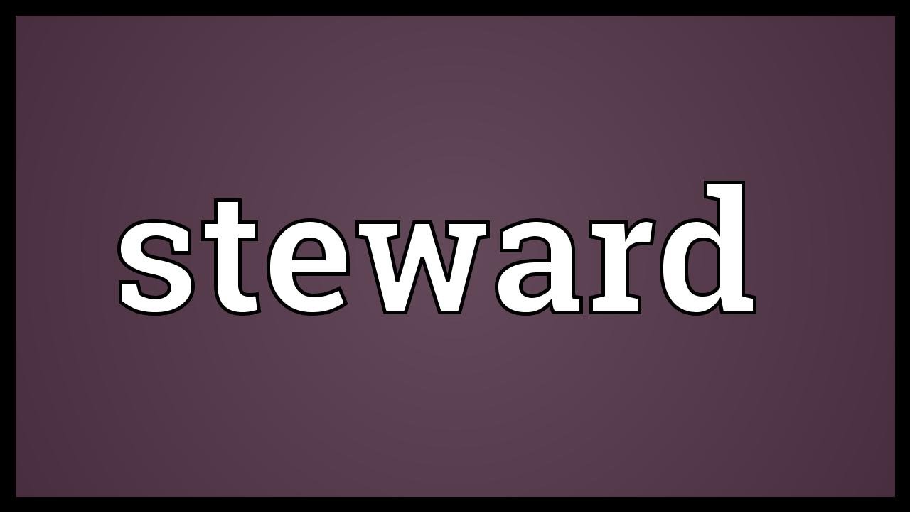 where does the word steward come from and what does steward mean