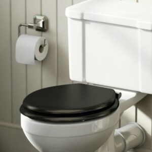 where does the word toilet come from and what does the word toilet mean in french
