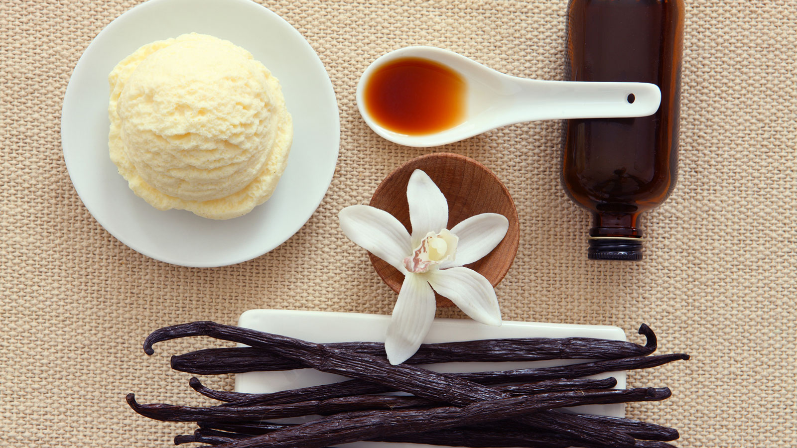 where does vanilla come from and why is vanilla so expensive