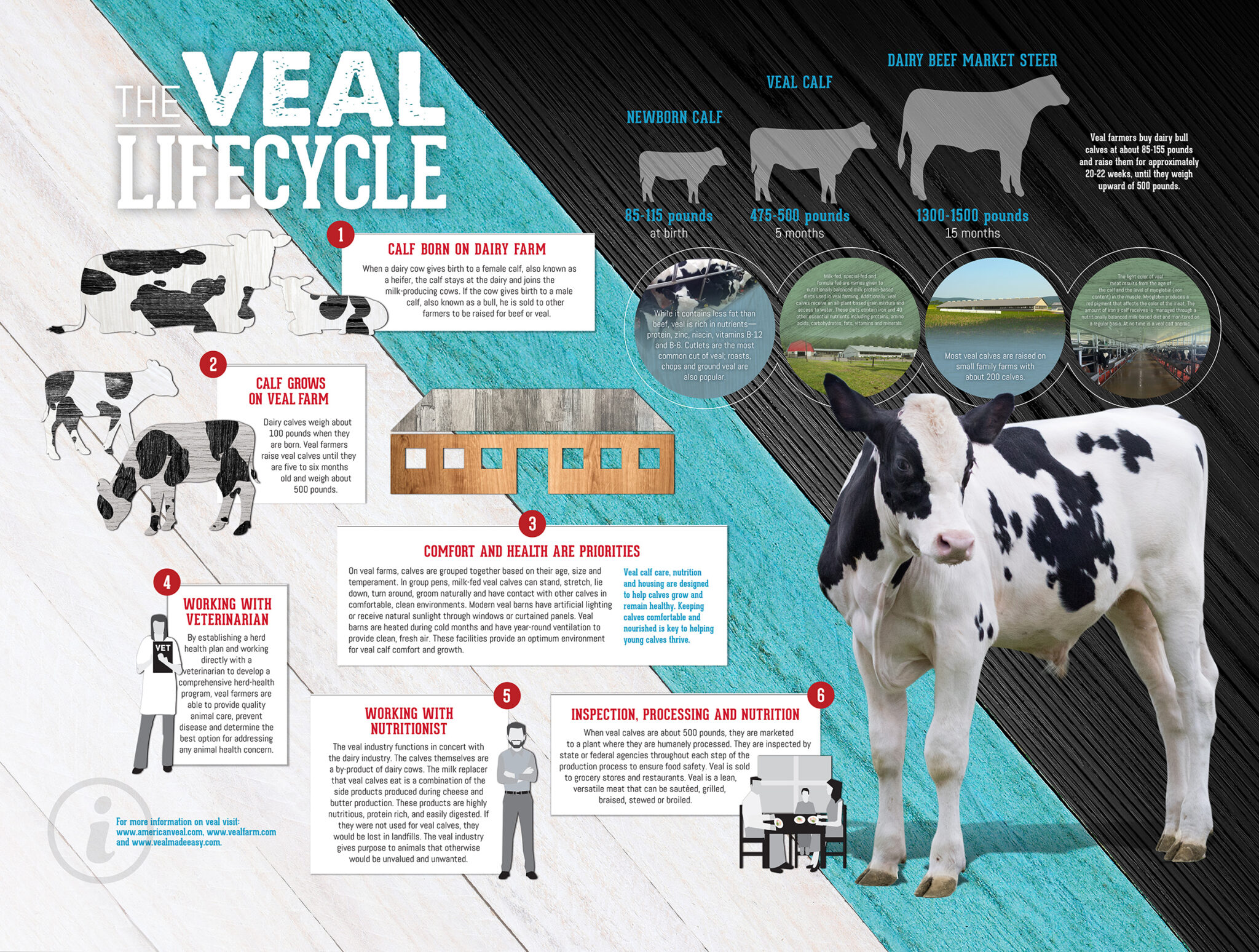 where does veal come from and how do cattle farmers make veal