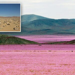 where is the driest desert in the world and how often does it rain in the atacama desert