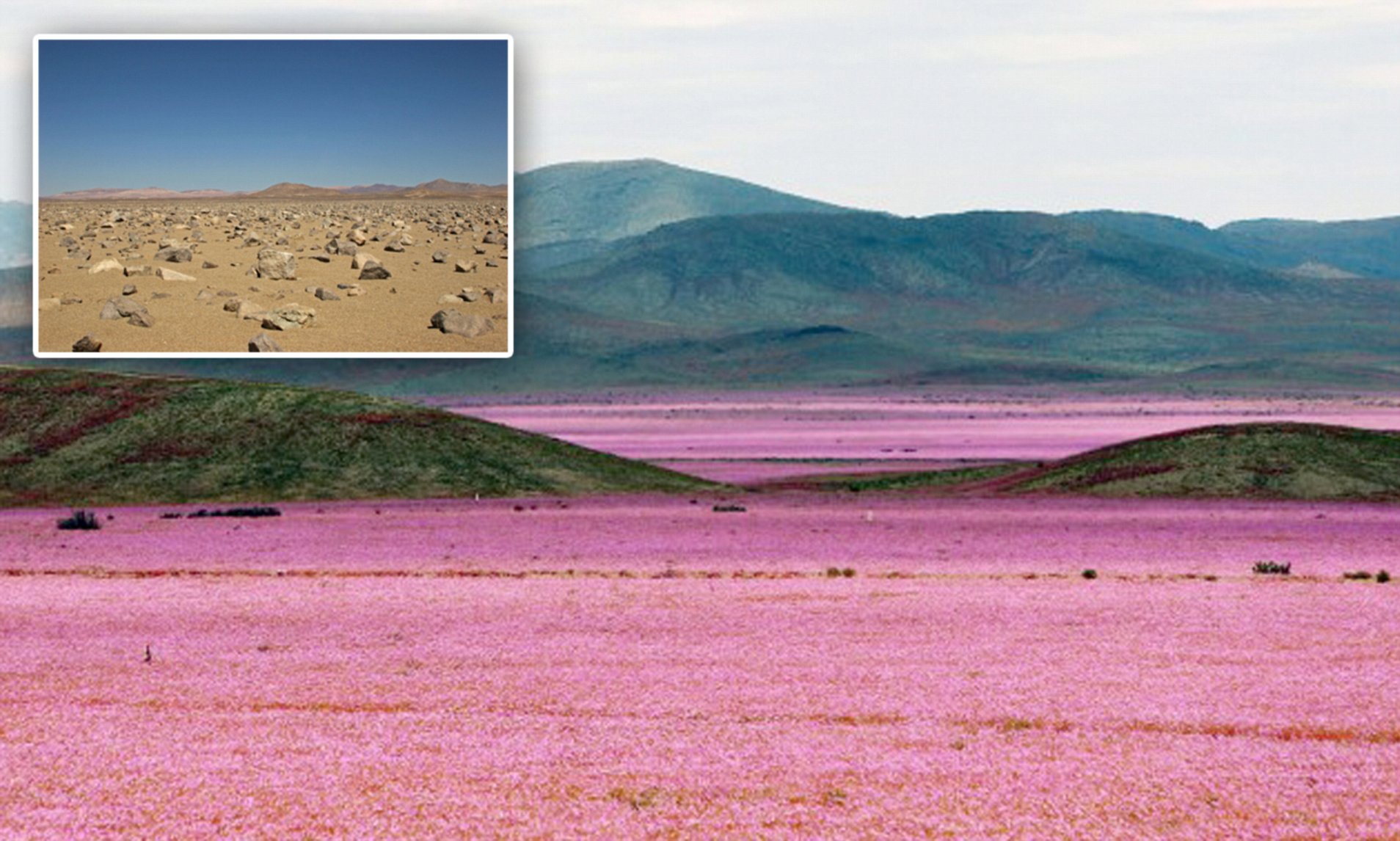 where is the driest desert in the world and how often does it rain in the atacama desert