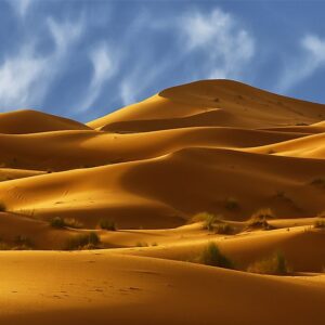 where is the largest desert in the world and how big is the sahara desert in northern africa
