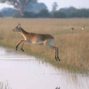 where is the okavango river located and is it true that the okavango river does not flow into the sea
