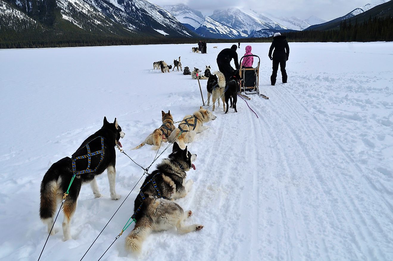 who are the inuit and where did the inuit come from