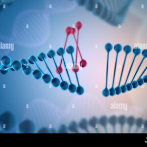 who discovered dna and where does the dna molecule come from
