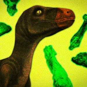 who discovered the first dinosaur fossil proving that giant dinosaurs once walked the earth and when scaled