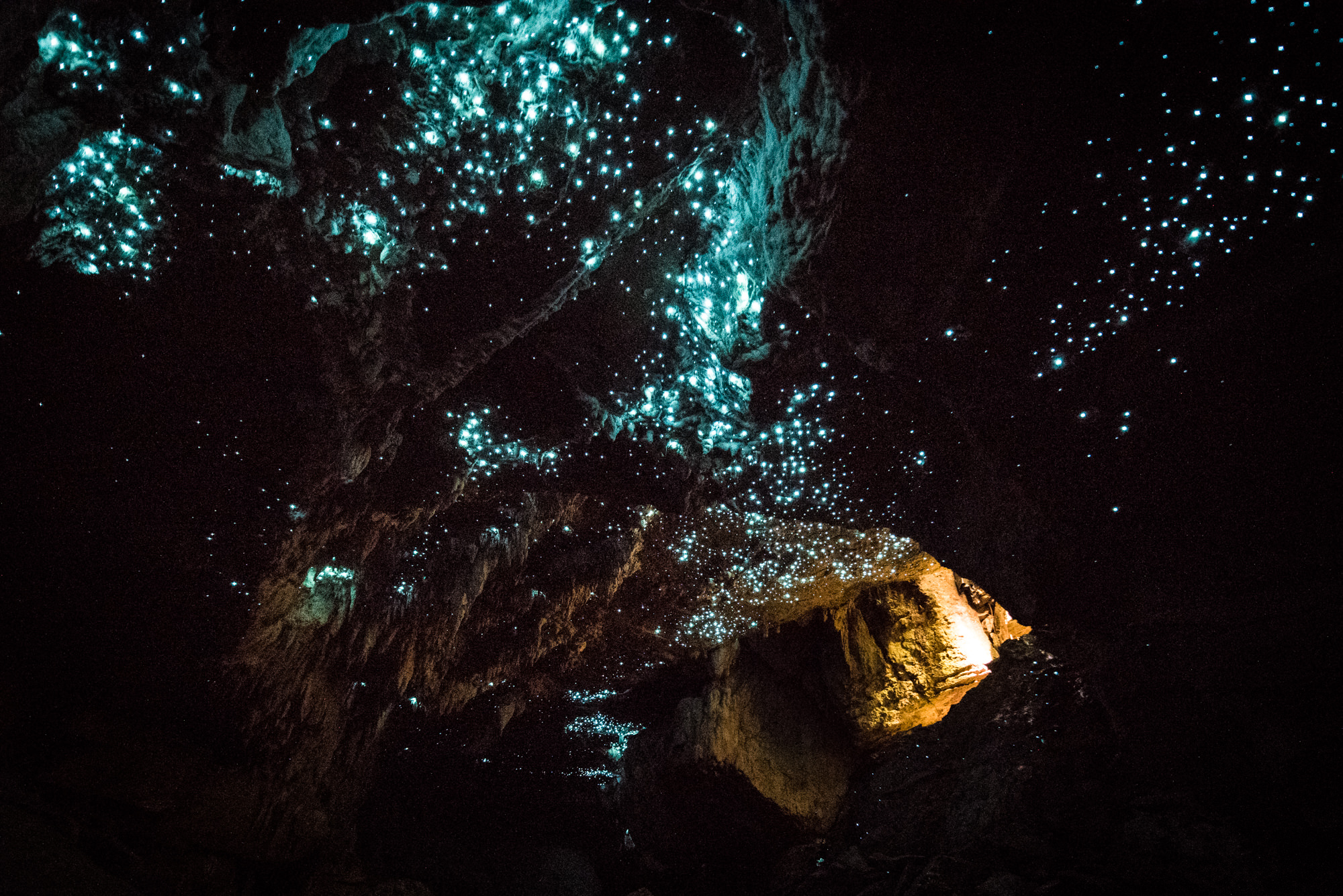 who discovered the waitomo glowworm caves in new zealand