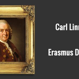 who invented the system of binomial nomenclature and how did carl linnaeuss system of classification work