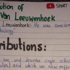 who was antoni van leeuwenhoek and what was leeuwenhoeks most important contribution to science
