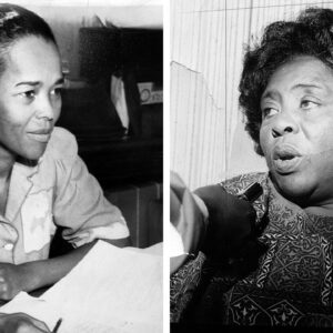 who was fannie lou hamer and what role did she play in the african american civil rights movement